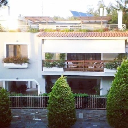 Fantastic Villa, A 5 Minute Drive From The Beach! Афины Экстерьер фото